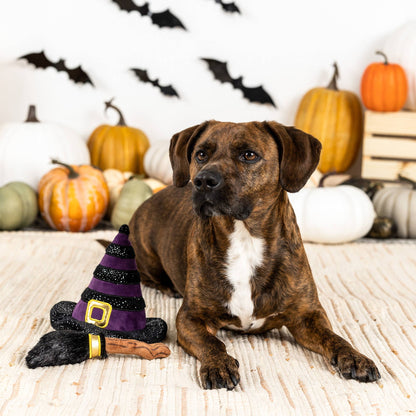 If the Broom Fits – Halloween Costume Dog Toy Set