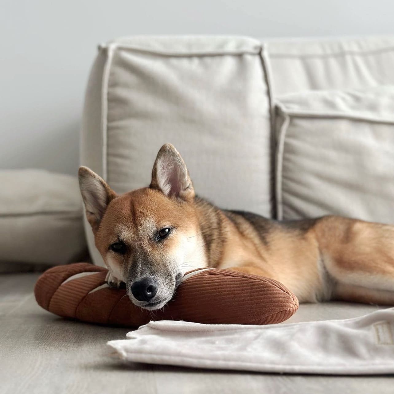 Baguette – Oversized Snuffle &amp; Burrow Dog Toy - Share Happy Outfits