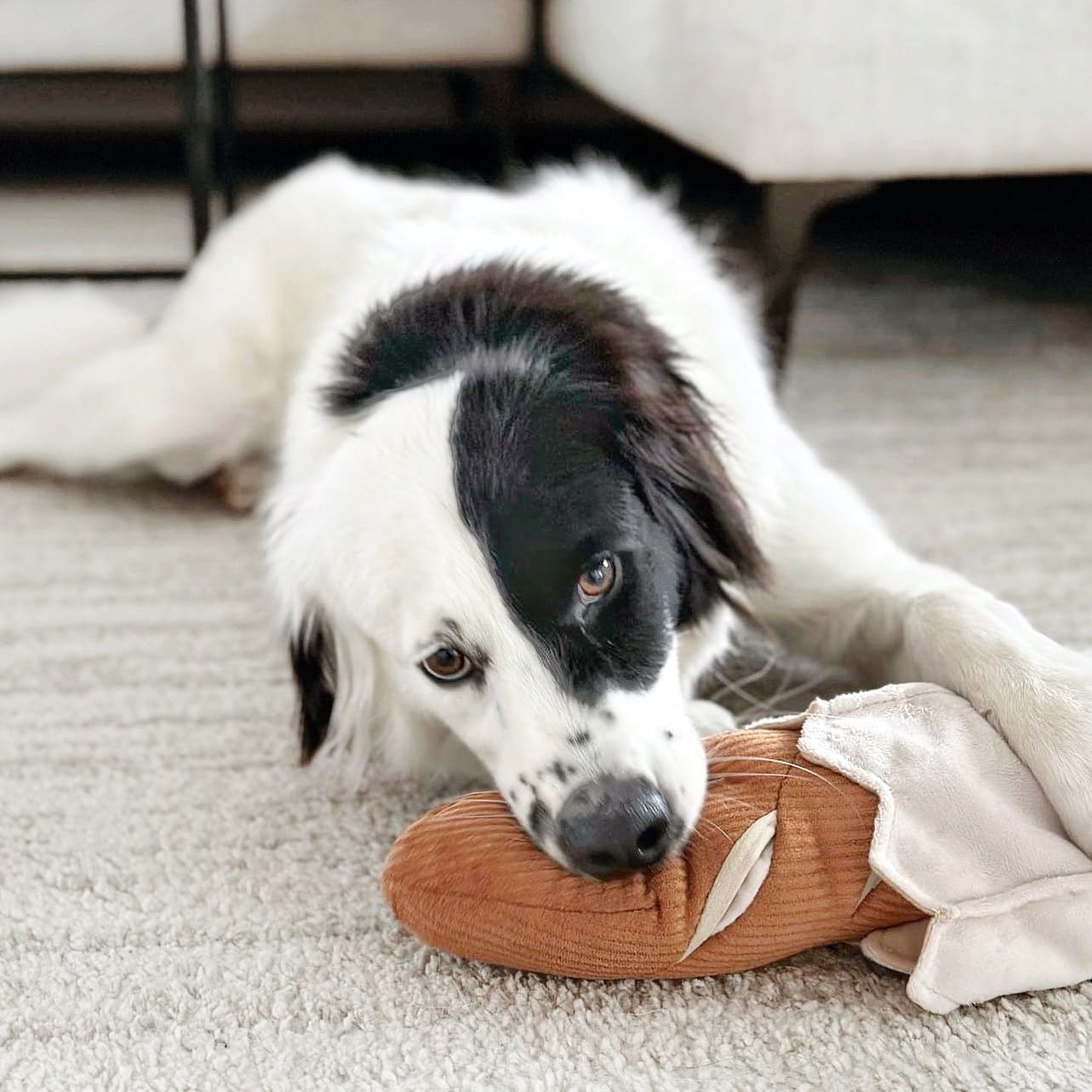 Baguette – Oversized Snuffle &amp; Burrow Dog Toy - Share Happy Outfits