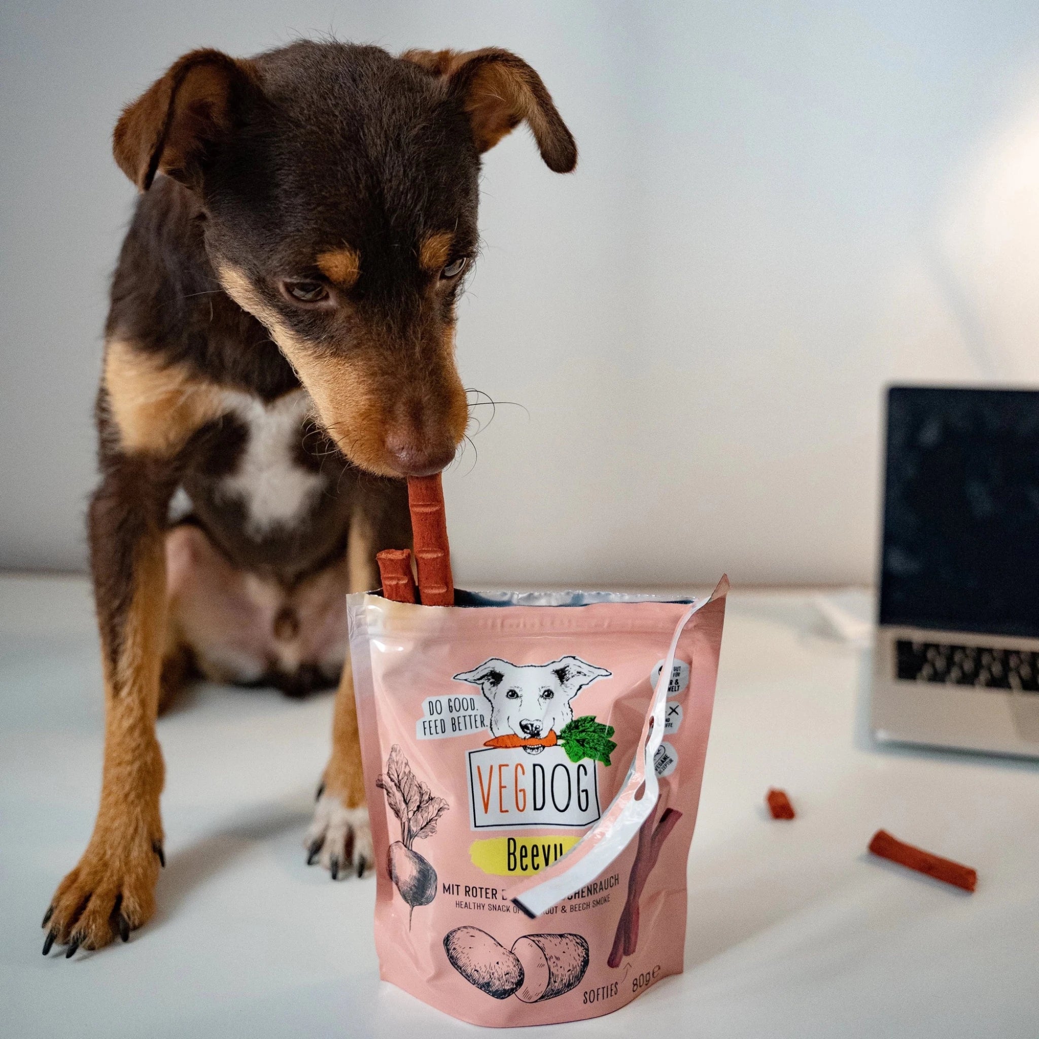 Dog with a bag of VegDog treats on a table