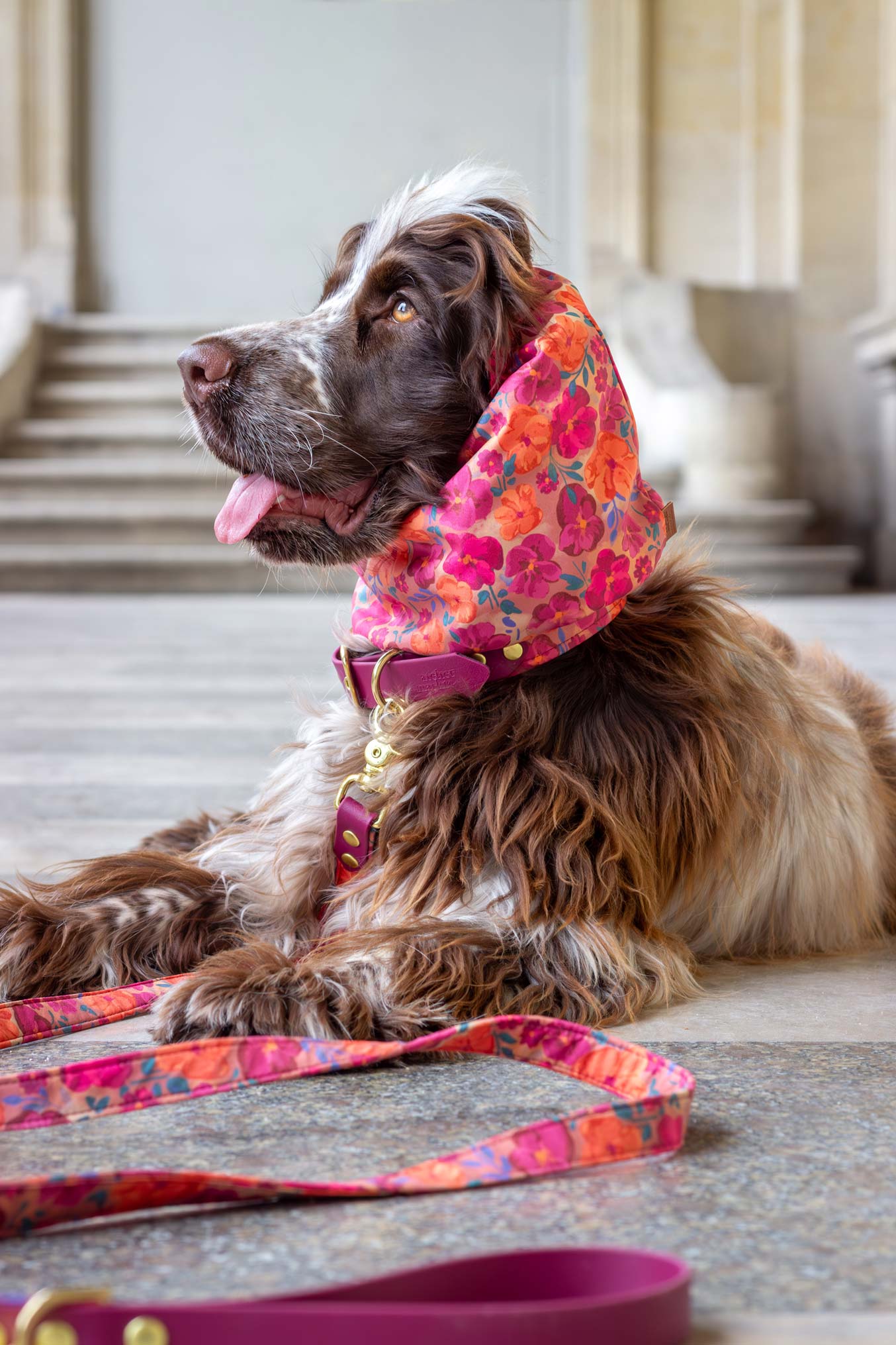 Dog wearing a floral hood and pink leash on a stone floor