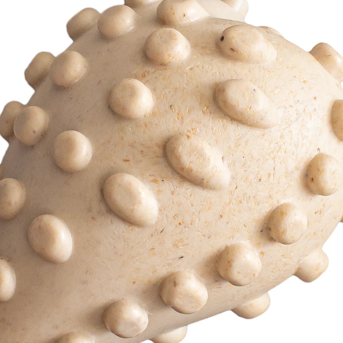 Close-up of a textured beige nylone dog chew toy BetterBone