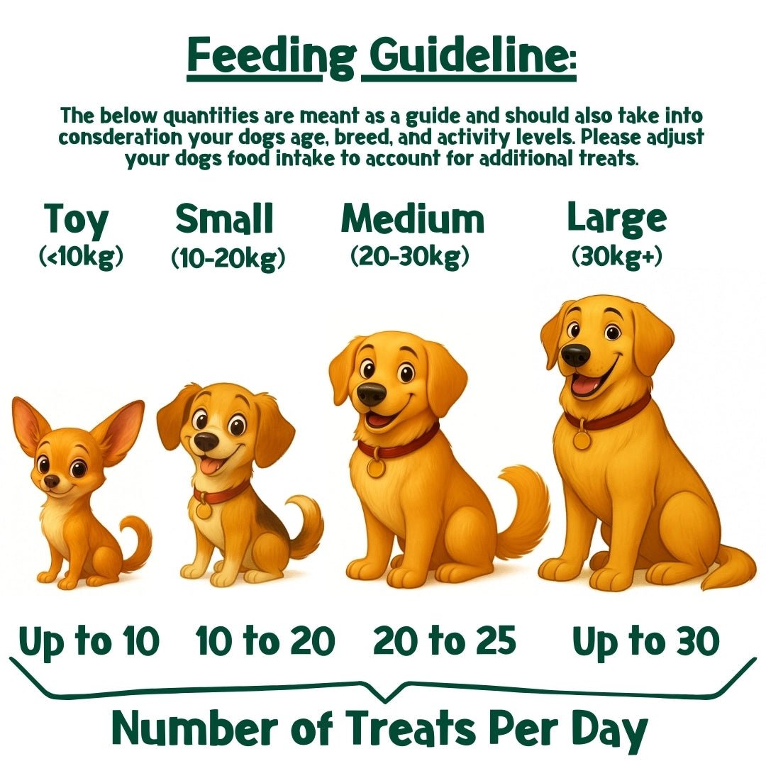 Birthday Cake-Bix Soft Dog Treats - Grain-Free, 100% Natural, Extra Soft Celebration Treats - Share Happy Outfits