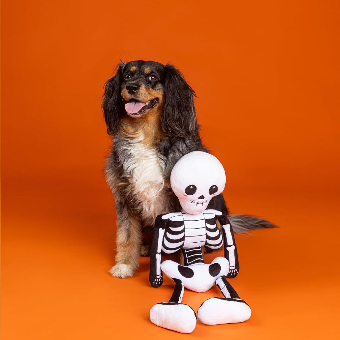 Bone To Be Wild – Plush Dog Toy - Share Happy Outfits
