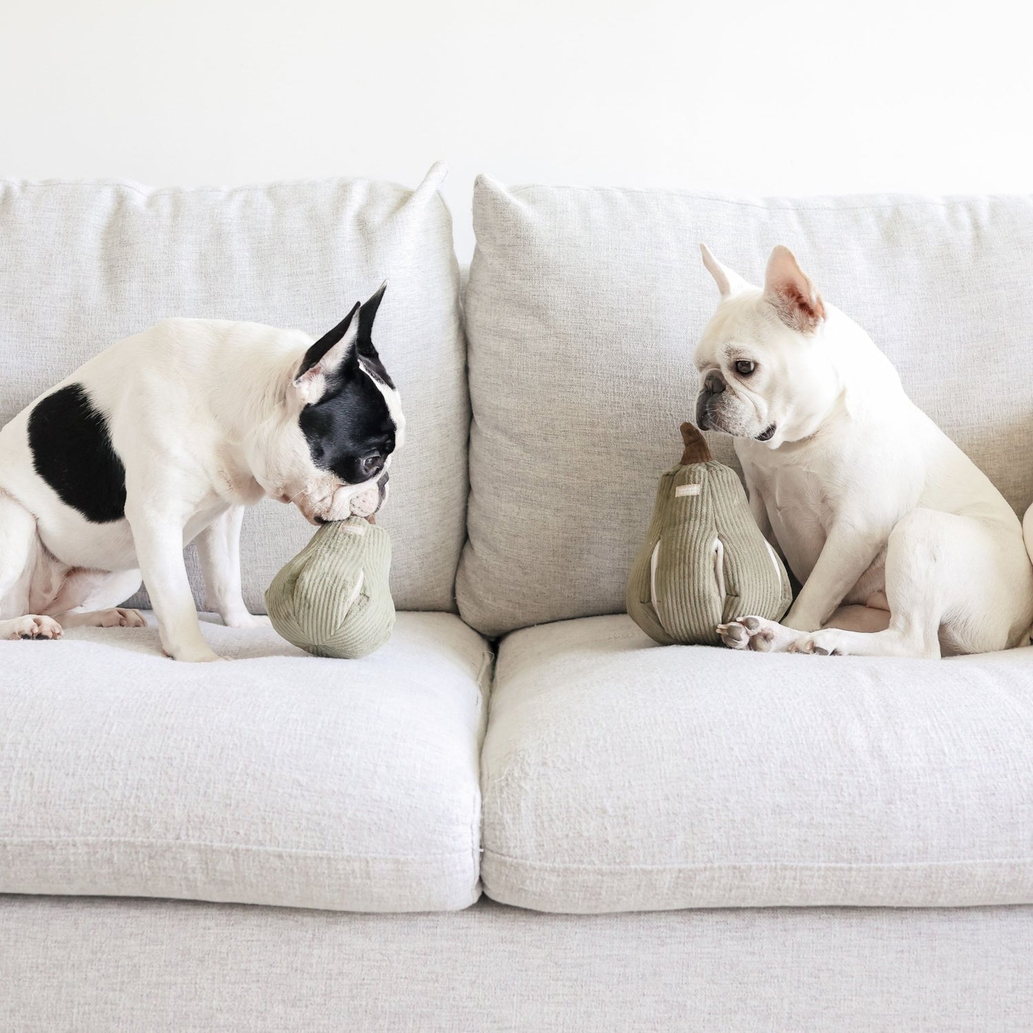Butternut Squash – Interactive Snuffle &amp; Burrow Dog Toy - Share Happy Outfits
