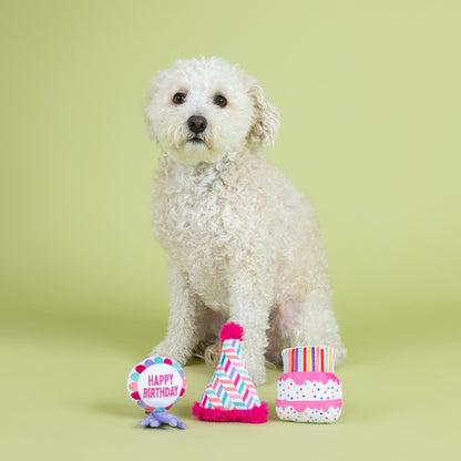 White dog with birthday-themed dog toys on a light green background