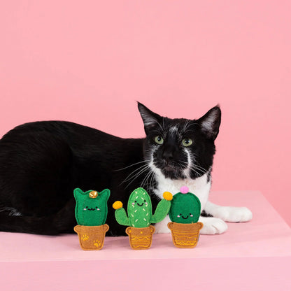 Cat-Us Friends Catnip Toy Set - Fun Cacti Crinkle, Bell and Catnip - Share Happy Outfits