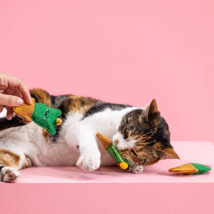 Cat-Us Friends Catnip Toy Set - Fun Cacti Crinkle, Bell and Catnip - Share Happy Outfits