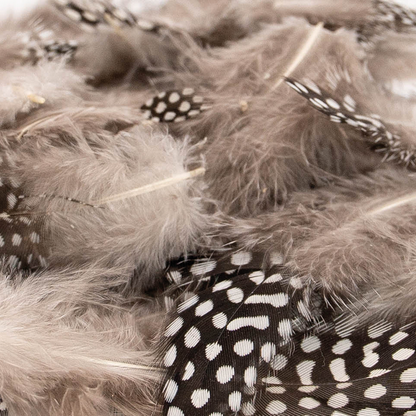 Nature Line – Valerian Cat Toy with Feathers - Share Happy Outfits
