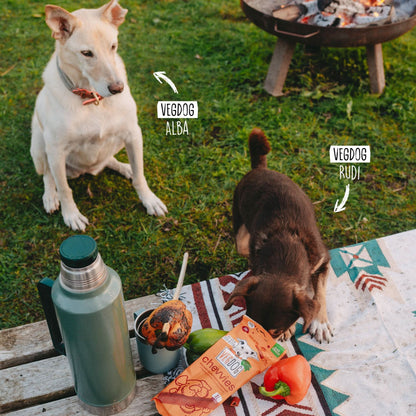 Two dogs, VEGDOG Alba and VEGDOG Rudi, at a picnic with food and a water bottle.