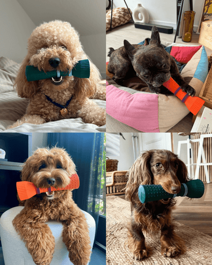 Chewing Dog Toy - Orange Zoomies Cone in Natural Rubber - Share Happy Outfits
