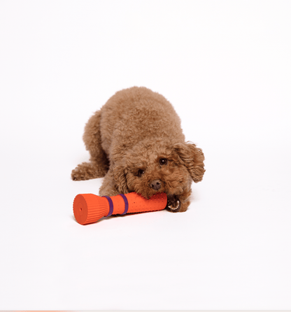 Chewing Dog Toy - Orange Zoomies Cone in Natural Rubber - Share Happy Outfits