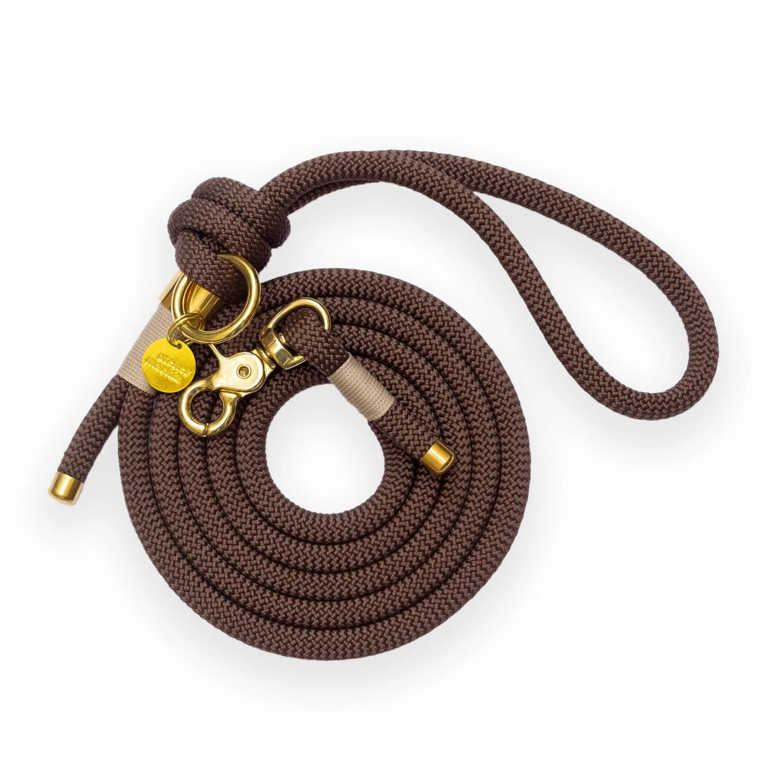 Laisse pour chien marron avec ferrures dorées sur fond blanc