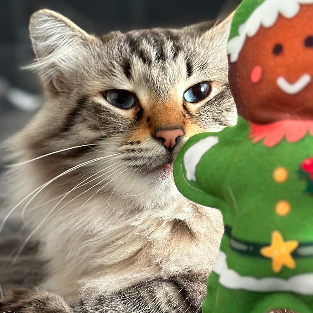 Christmas Gingerbread Elf - Catnip &amp; Silver Vine Cat Toy