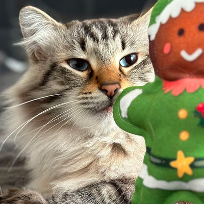Christmas Gingerbread Elf - Catnip &amp; Silver Vine Cat Toy