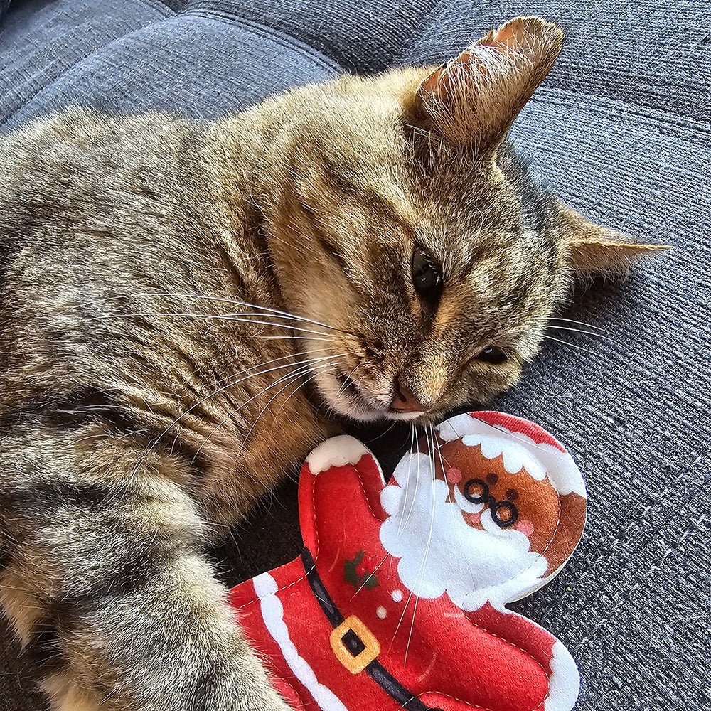 4cats Christmas Gingerbread Santa Claus - Valerian Cat Toy