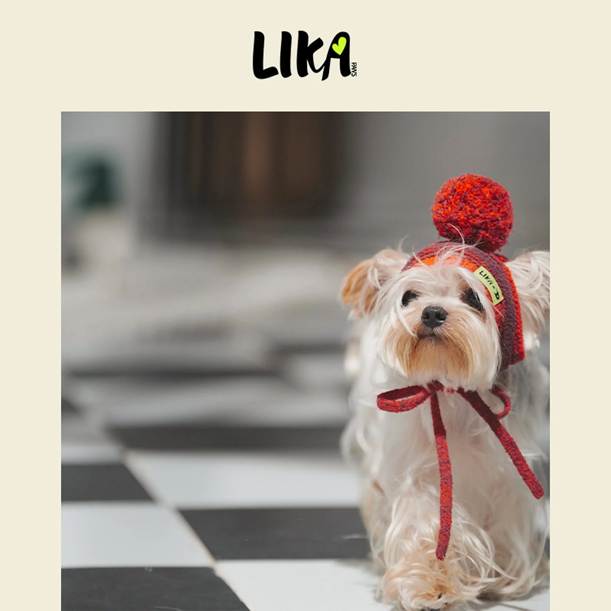 Dog wearing a red hat with a pom-pom on a checkered floor, with &