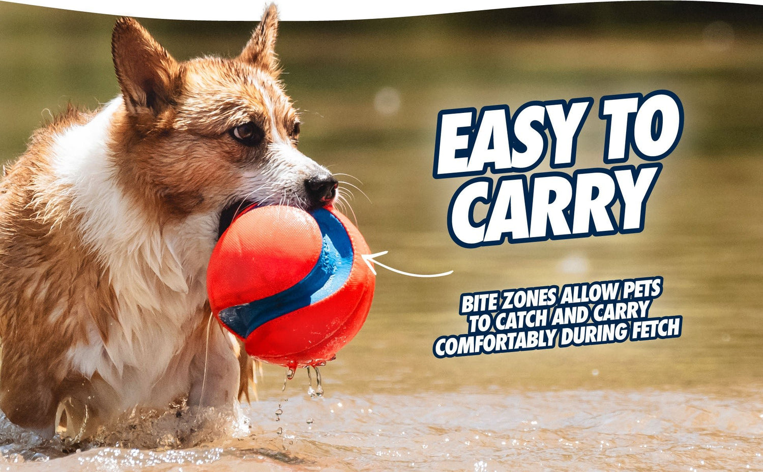 Dog playing with a red ball in water, with text &