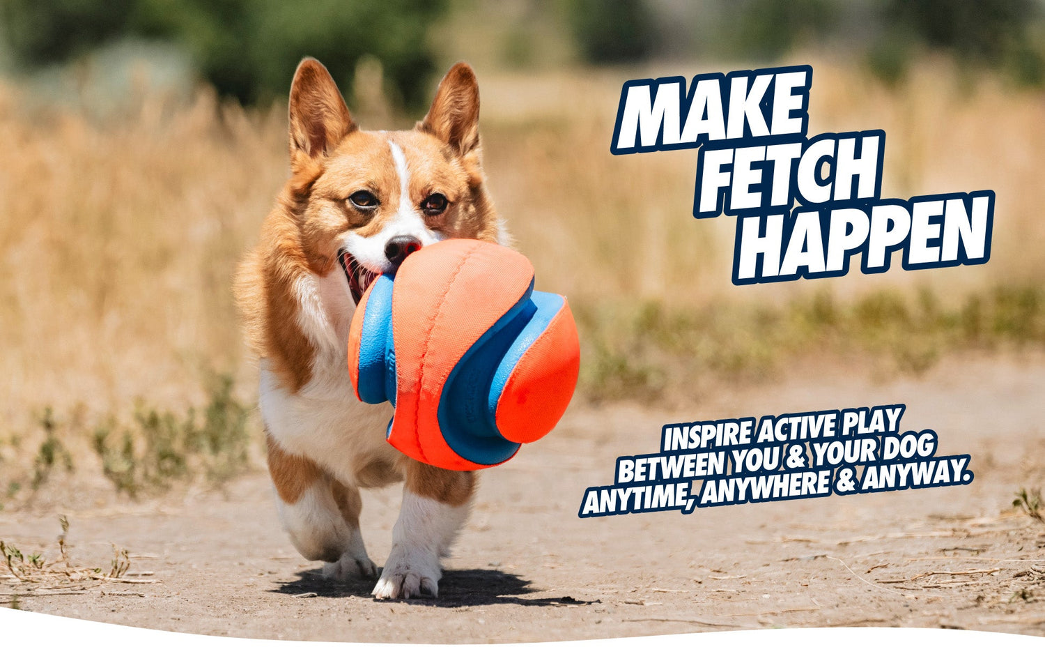 Dog running with a toy, with text promoting active play.