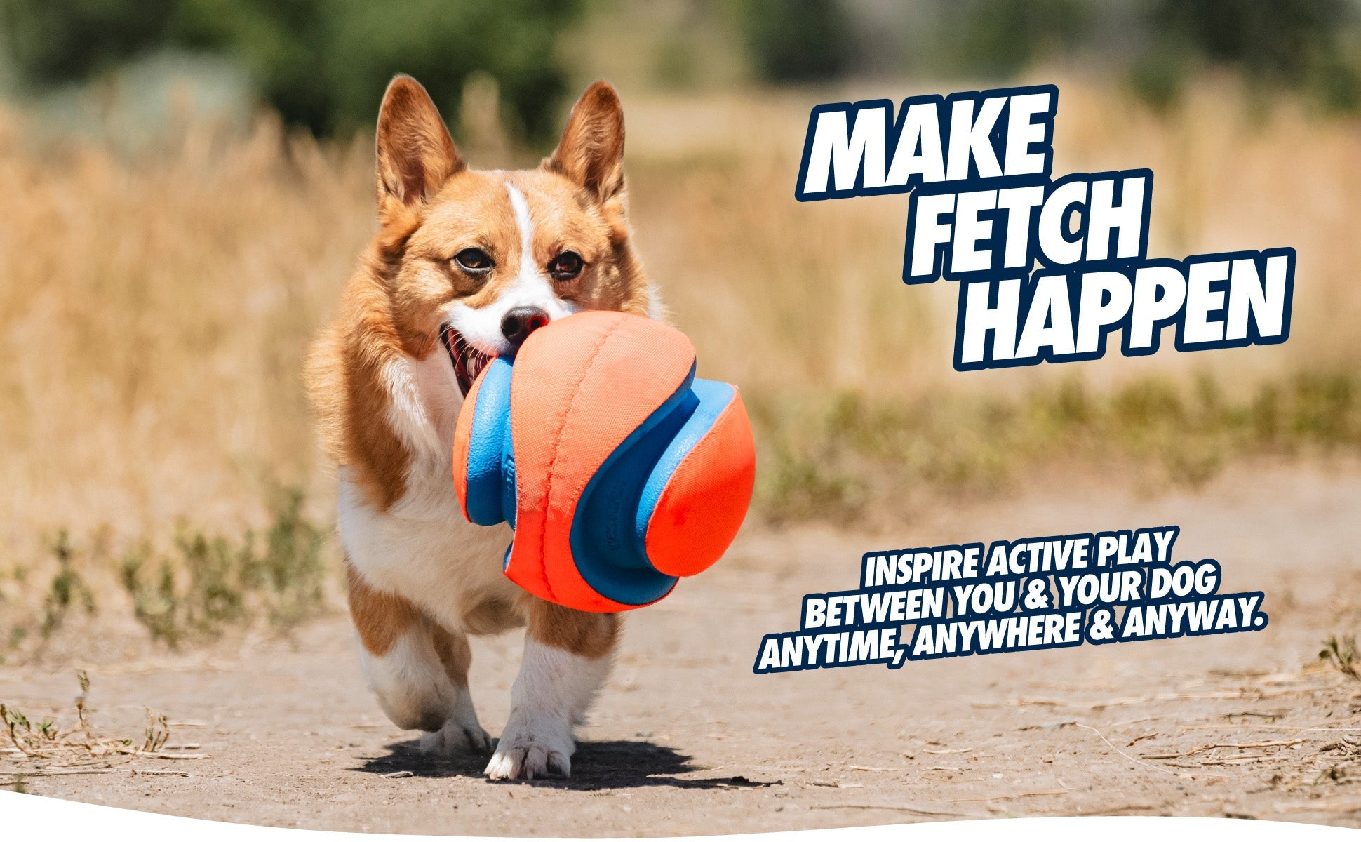 Dog running with a toy, with text promoting active play.