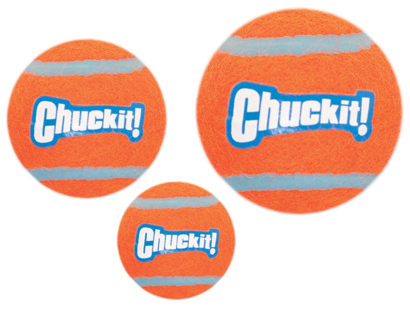 Three orange Chuckit! tennis balls on a white background