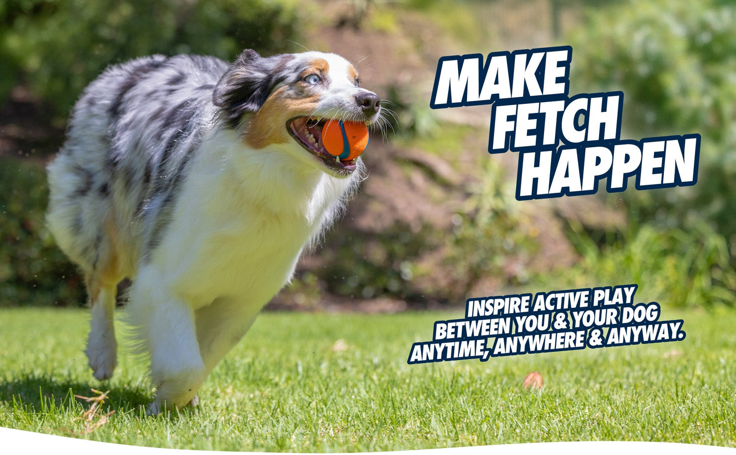 Dog running with a ball in its mouth on grass, with text &