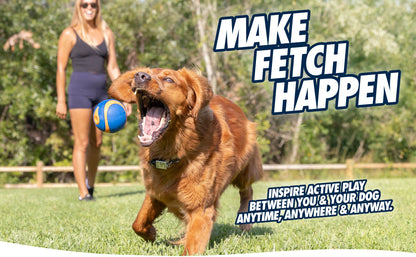 Dog running with a ball in a park with text promoting active play between owner and dog.