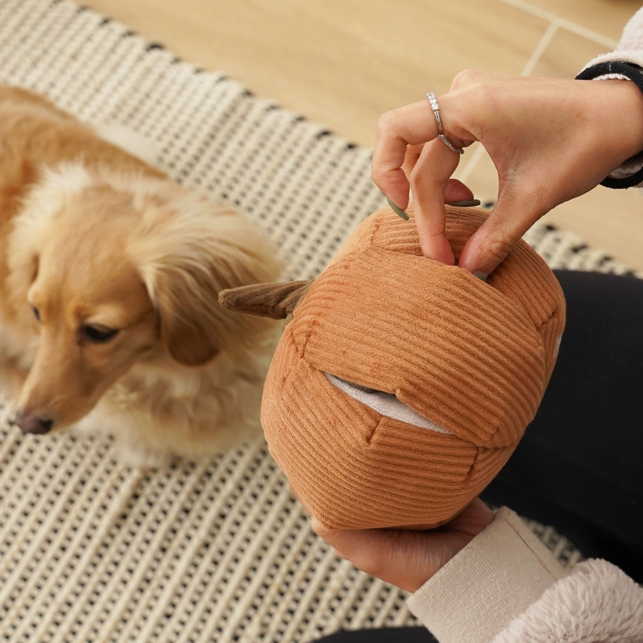 Cinderella Pumpkin - Interactive Snuffle &amp; Burrow Dog Toy - Share Happy Outfits