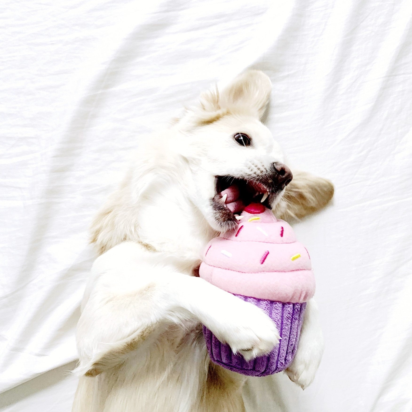 Cupcake Pink - Squeaker Dog Toy for Birthdays, Easter &amp; Every Celebration - Share Happy Outfits