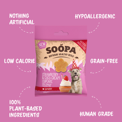 Natural Vegan Dog Healthy Bites – Strawberry &amp; Coco-Cream Cupcake - Share Happy Outfits
