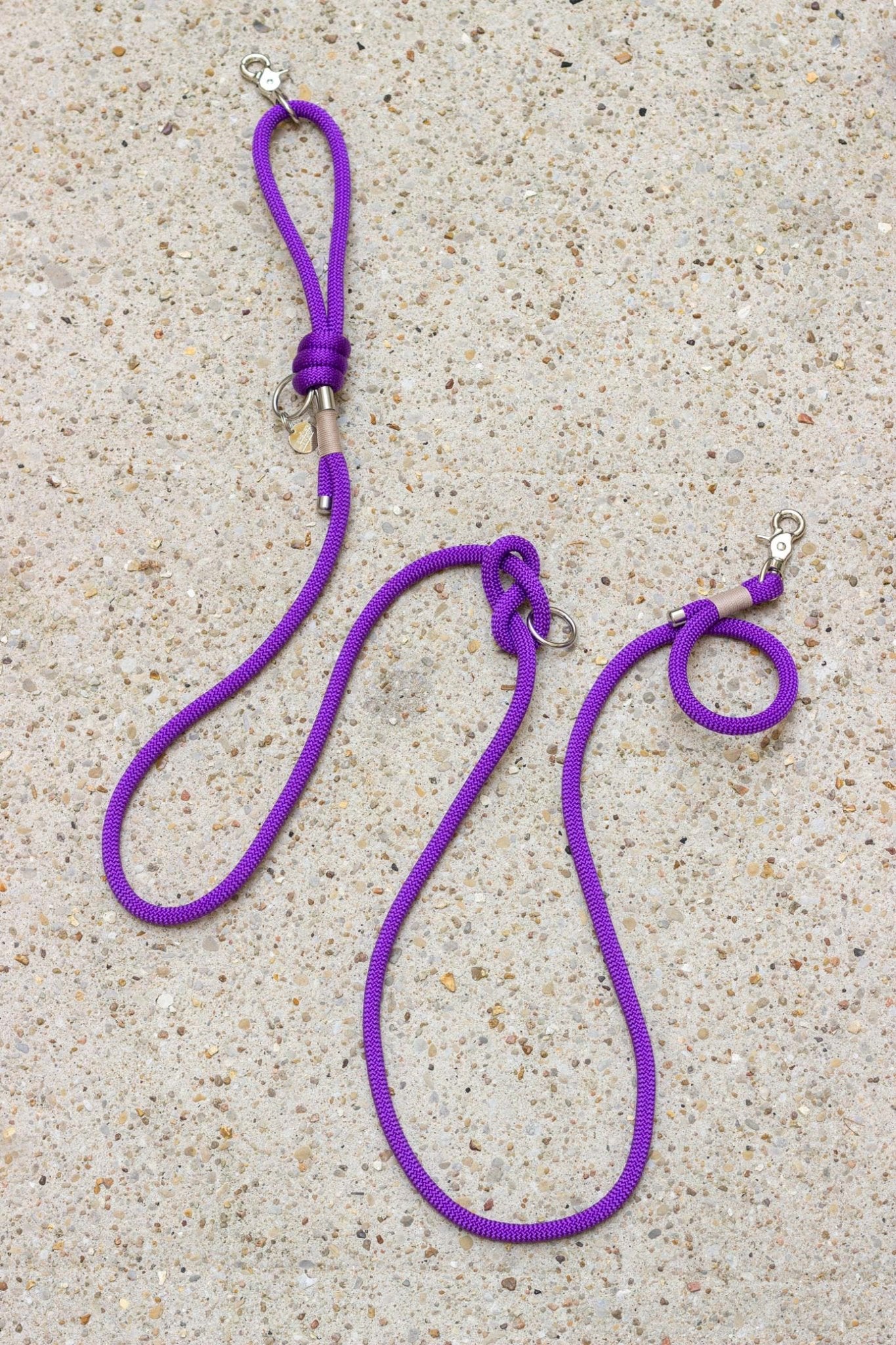 Purple dog leashes with silver clips on a beige surface