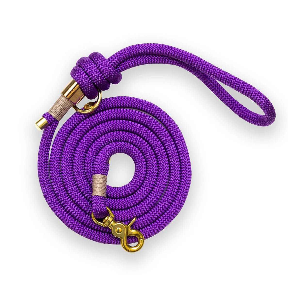 Purple dog leash with gold hardware on a white background