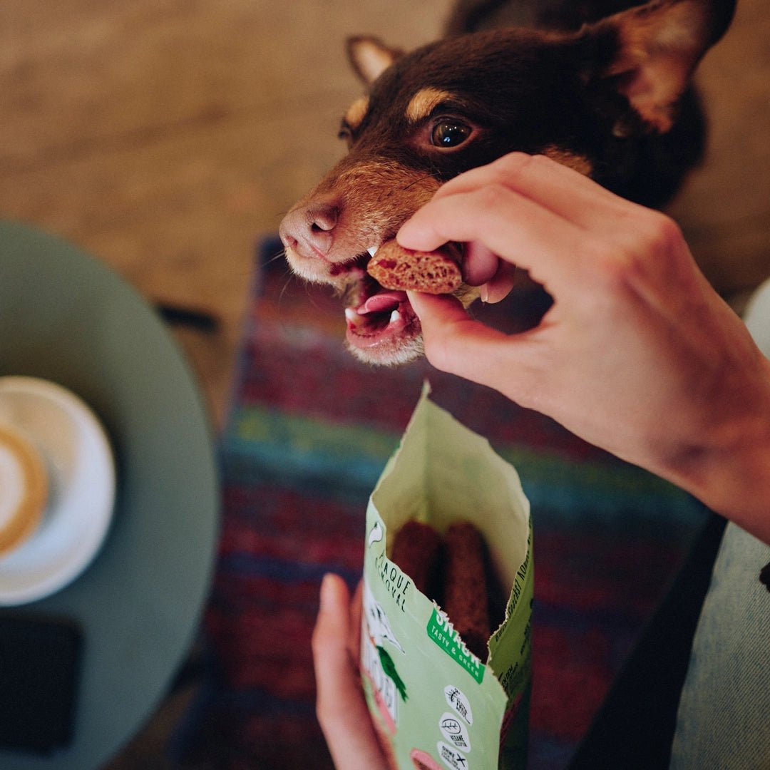 Person feeding a dog a treat from a green bag on a wooden floor.