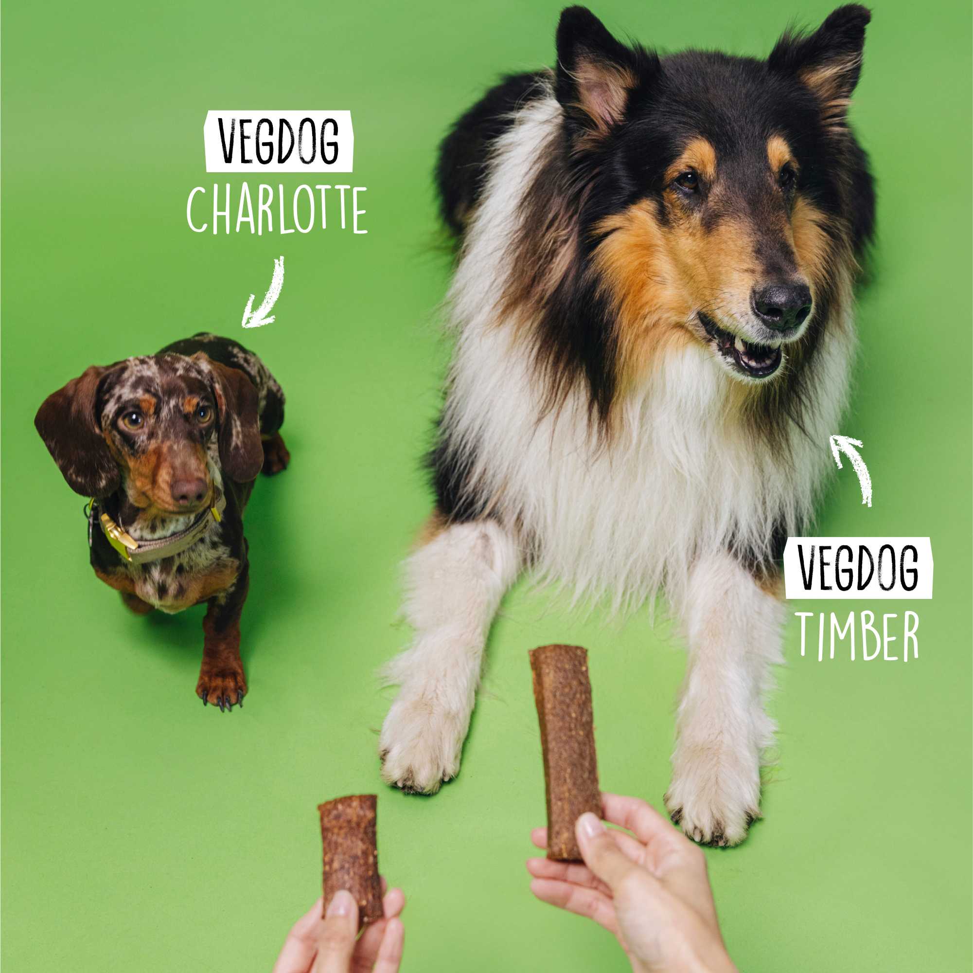 Two dogs, a dachshund and a collie, with treats labeled &