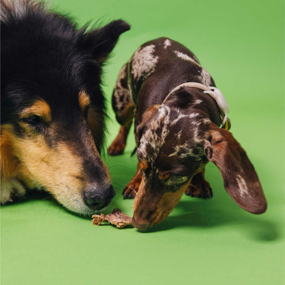 Dental Chews – Tapioca &amp; Beetroot - Tooth Care for Small Dogs