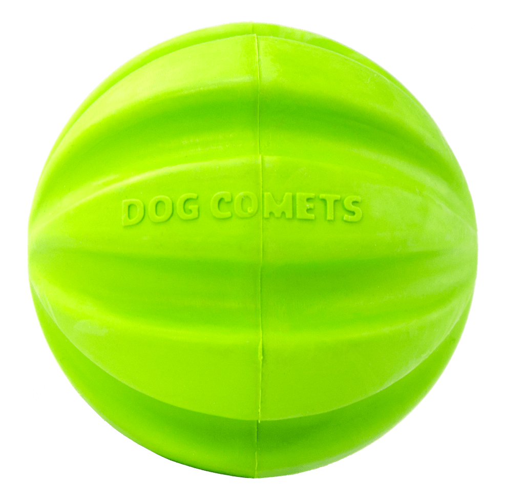 Green dog toy ball with &