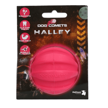 Dog Comets Halley Pink