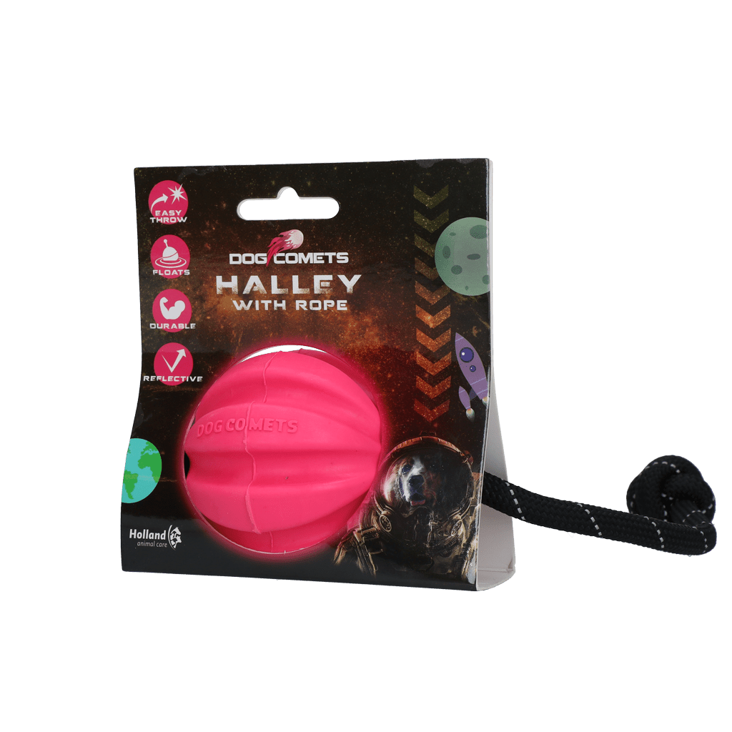 Dog Comets Halley With Rope Pink