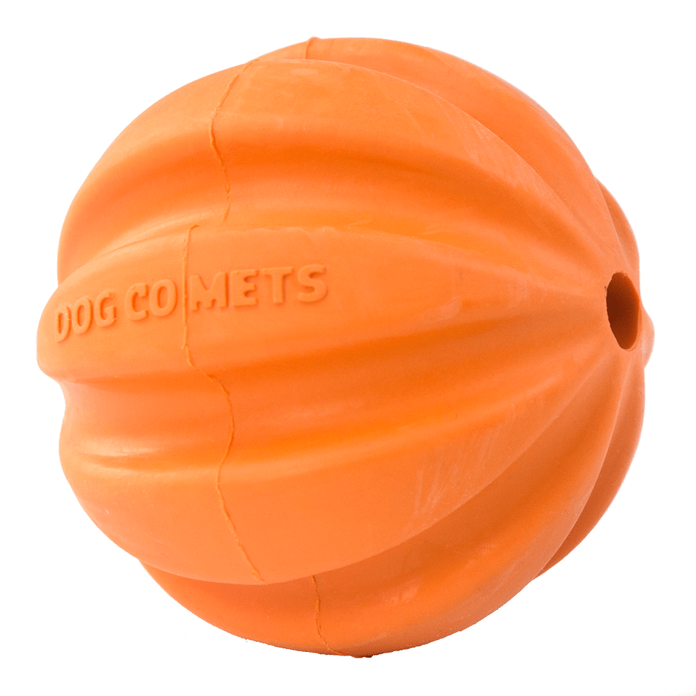 Orange dog toy with &