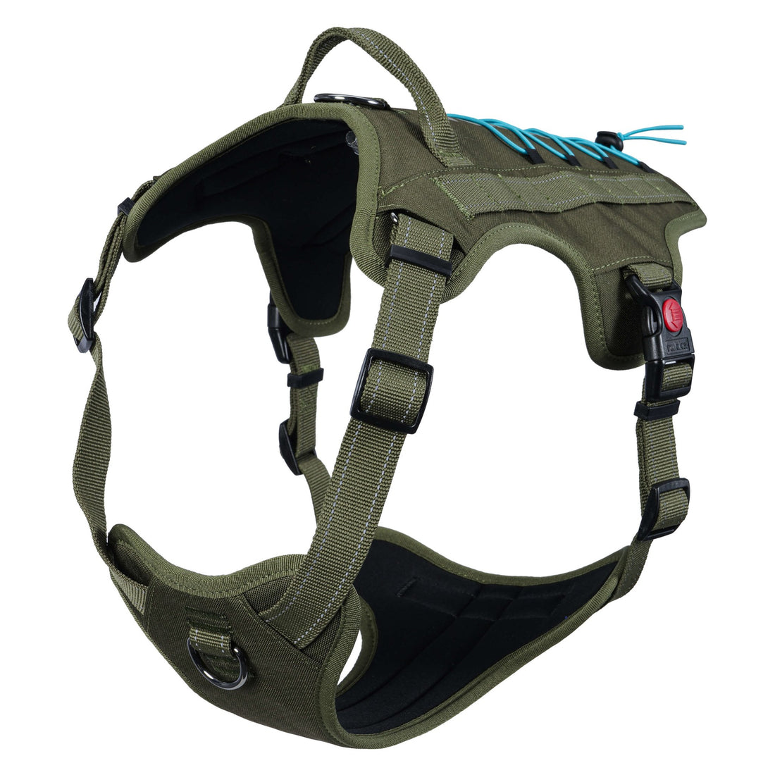 Green dog harness on a white background