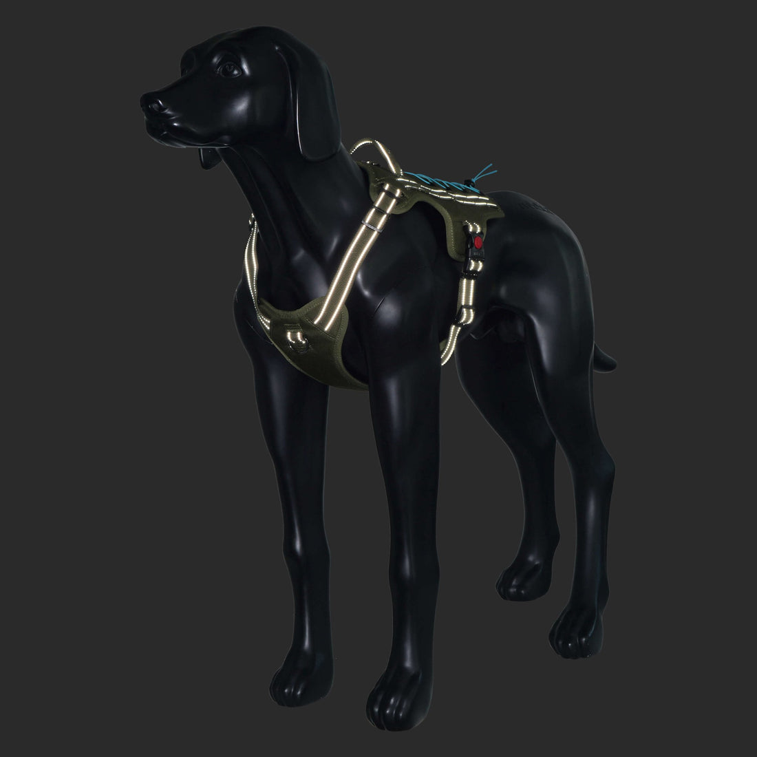 Mannequin of a dog wearing a reflective harness on a black background