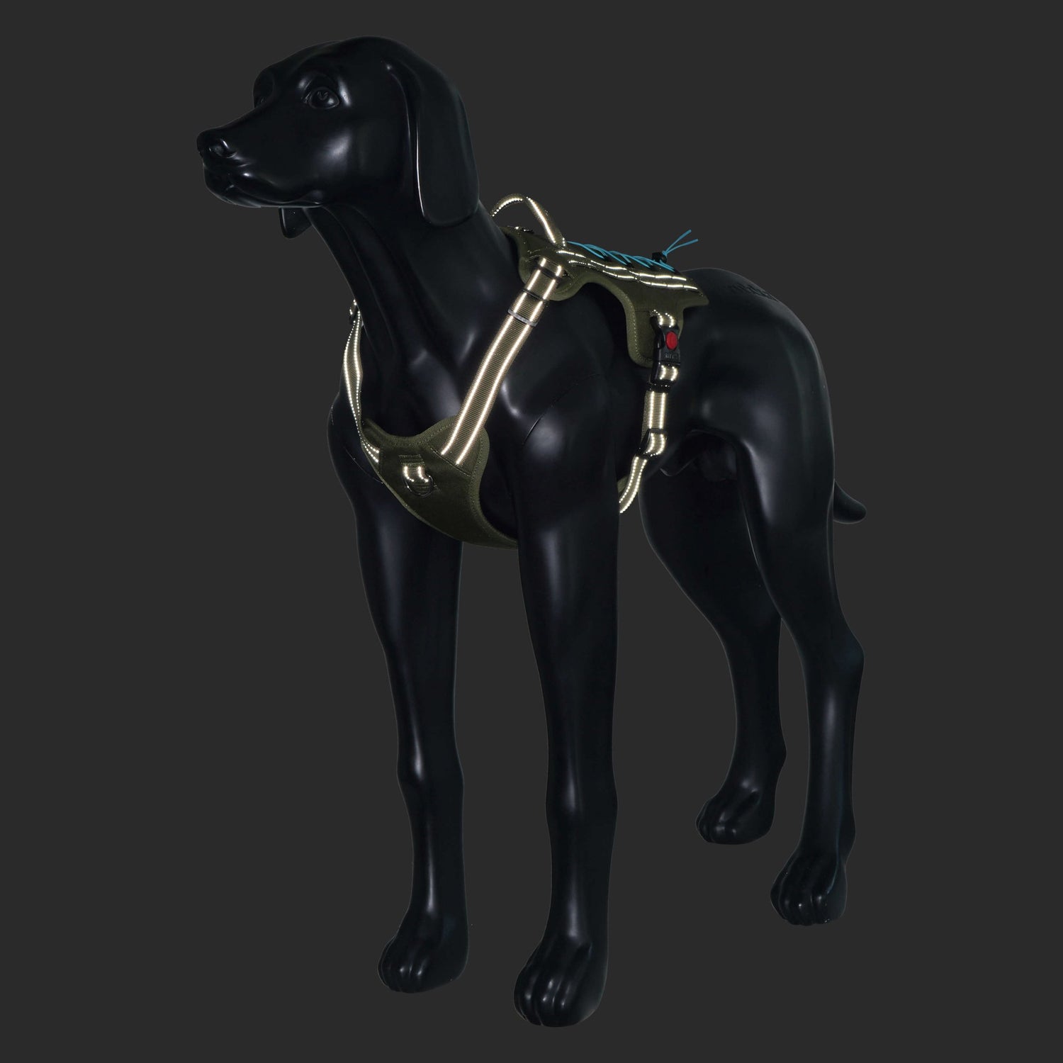 Mannequin of a dog wearing a reflective harness on a black background