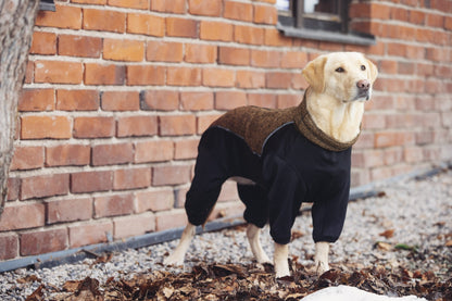 Dog wearing a coat standing in front of a brick wall