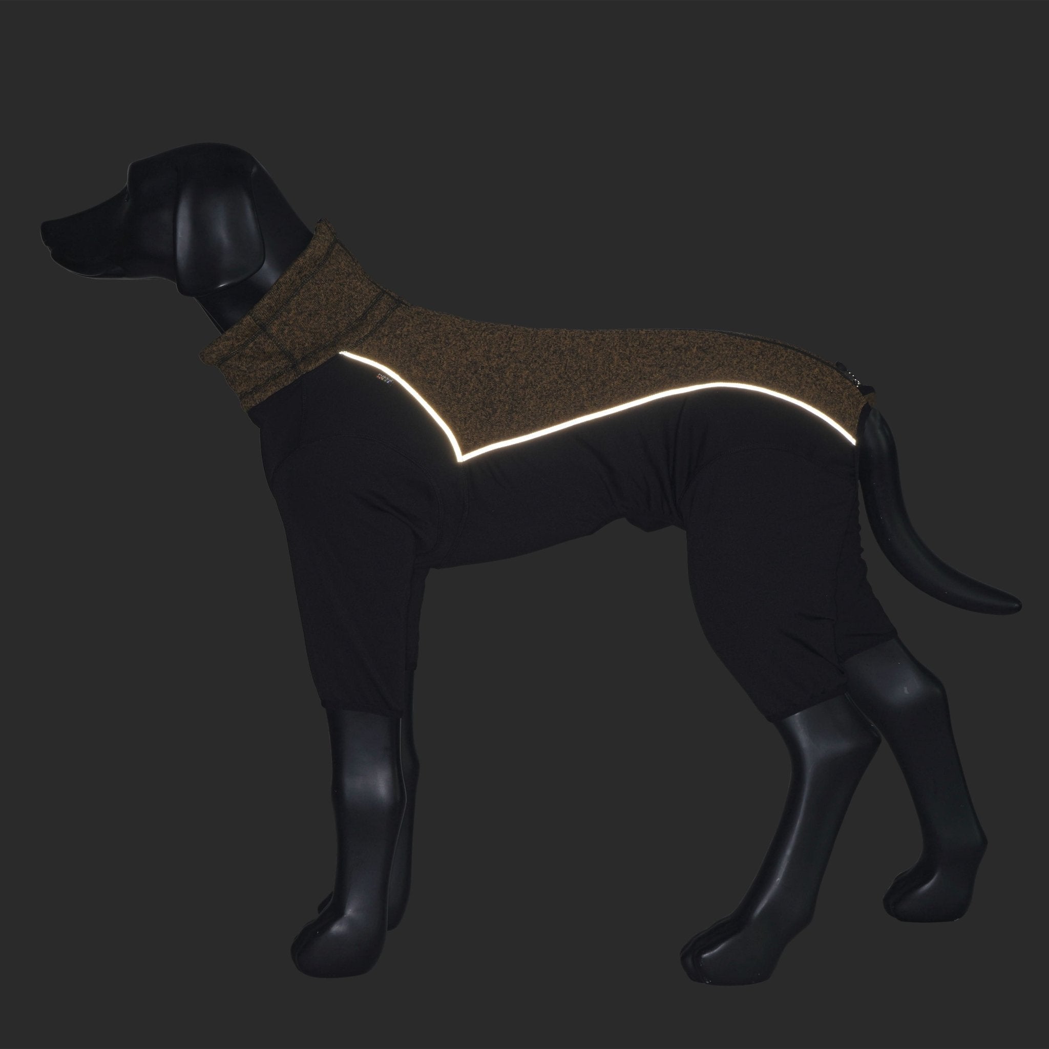 Dog wearing a brown reflective jacket on a black background