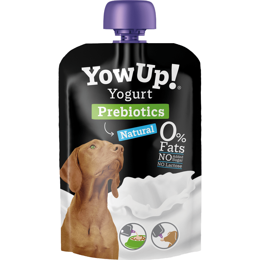 YowUp! Yogurt Prebiotics package for dogs with a purple cap on a white background