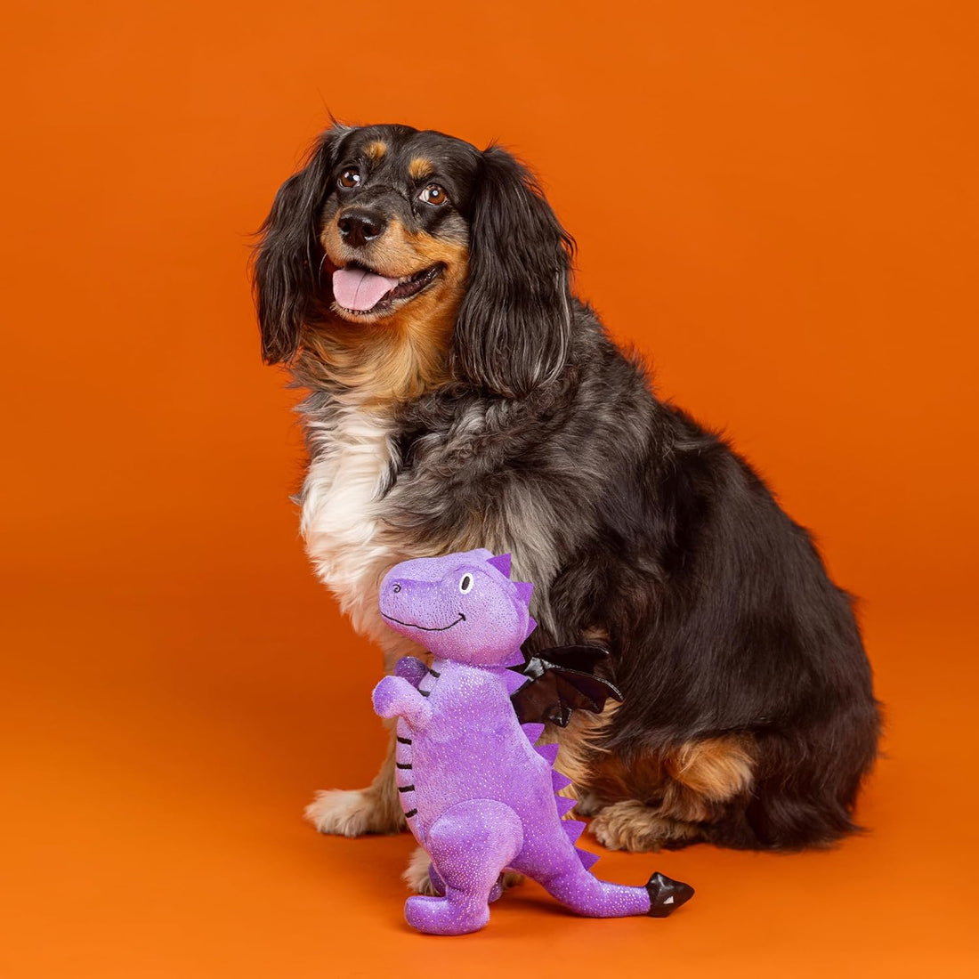 Don’t Be A Drag On – Plush Dog Toy - Share Happy Outfits