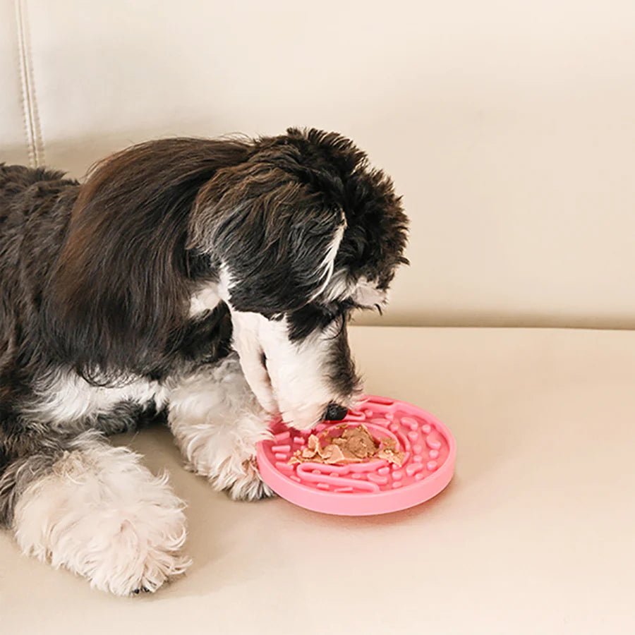 Dog interacting with a pink pet toy on a beige couch