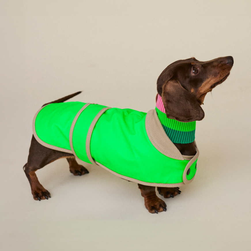 The Glow Raincoat Oxford - Green - Dachshund/Poodle Fit - Share Happy Outfits