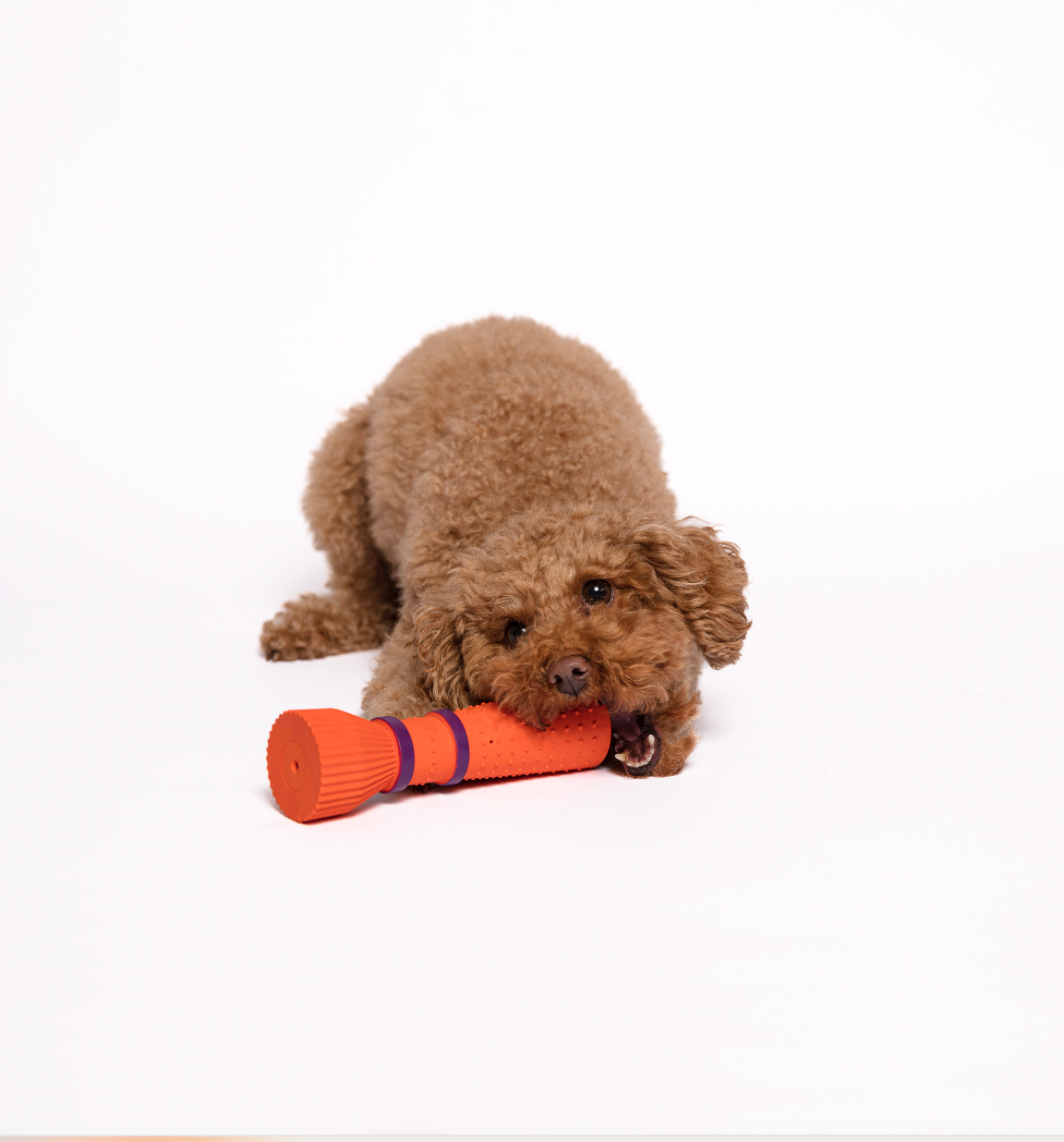 Chewing Dog Toy - Orange Zoomies Cone in Natural Rubber - Share Happy Outfits