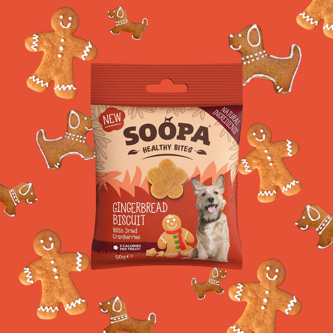 Natural Vegan Gingerbread Biscuit Healthy Bites - Share Happy Outfits
